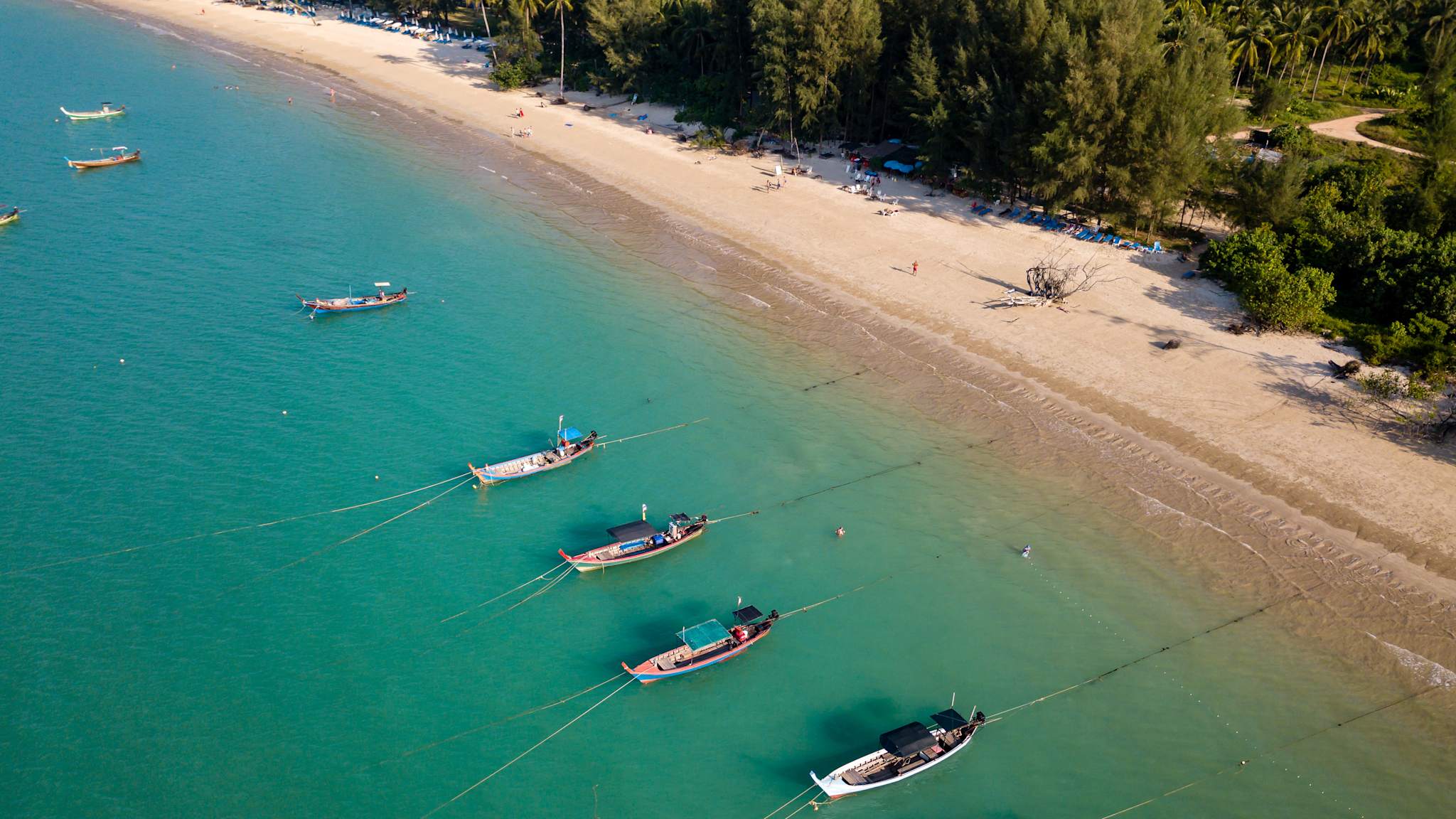 Langboote die an einem Strand vertäut sind